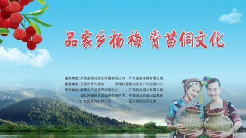 品家鄉(xiāng)楊梅 賞苗侗文化