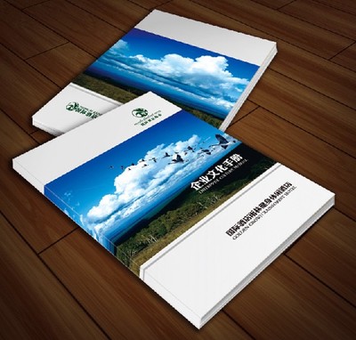 供應(yīng)福建廣告印刷、畫冊(cè)印刷與雜志印刷 莆田印刷廠家的專業(yè)服務(wù)